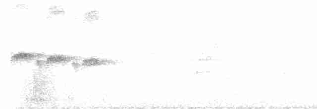 Schwarzkehl-Ameisenvogel - ML493886881