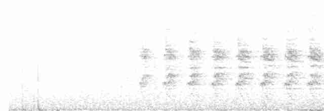 White-streaked Honeyeater - ML493891441
