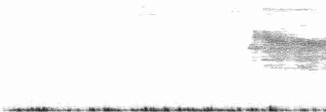 gråhodefulvetta - ML493893021