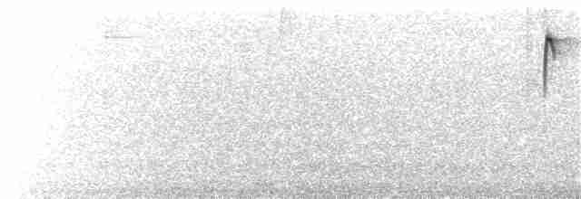 Колібрі-жарокрил чорночеревий - ML49396831