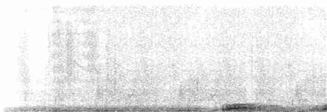 Lesser Rhea (Darwin's) - ML49399641