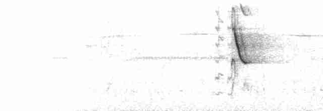  - Short-tailed Starling