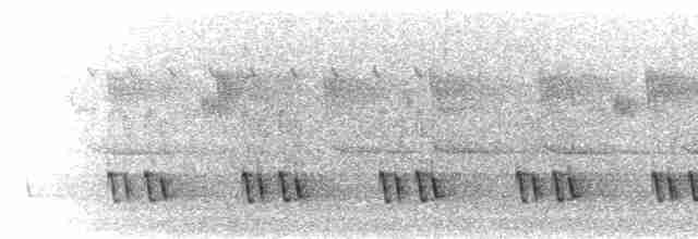  - Yellow-eared Barbet