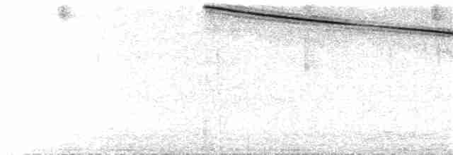 Yanardağ Kolibrisi (torridus) - ML49402841
