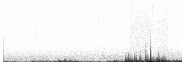 Txilinporta urrebelarria - ML494058811