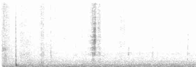 Boğmaklı Ardıç (torquatus) - ML494063491