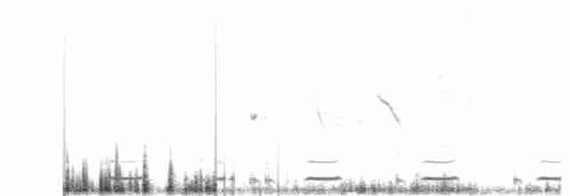 Серогрудый зобатый бегунок - ML494116351