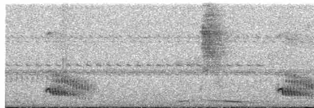 Декол плямистоволий - ML494124841