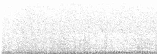 Crested Bobwhite - ML494135871