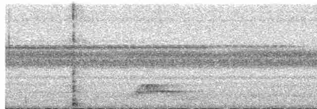 Pauraquenachtschwalbe - ML494162621