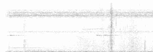 Tinamou de Boucard - ML494199151