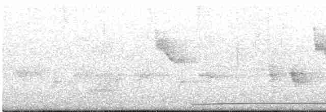 holub tchajwanský (ssp. formosae/filipinus) - ML494250511