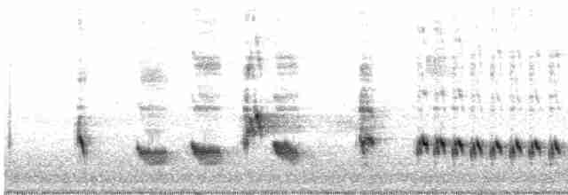 Australian Reed Warbler - ML494272721