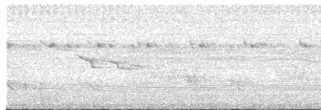 Plumbeous Kite - ML494394751