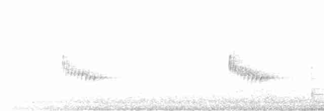 Каролинский крапивник - ML494459821