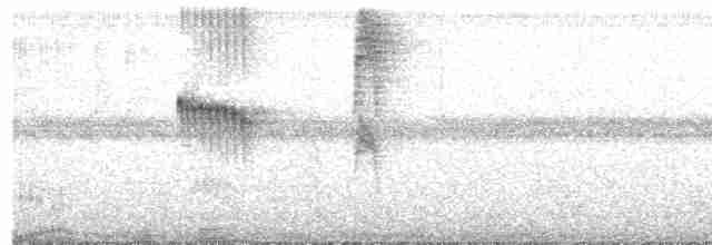 Мухолов-клинодзьоб сірий - ML494460391