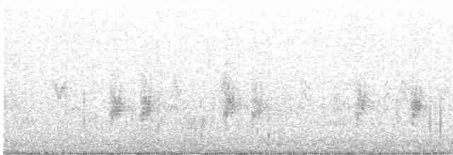 Длиннохвостый крапивник - ML494682121