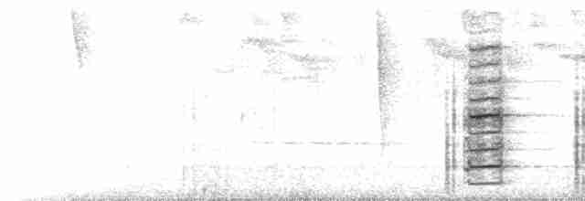Plate-billed Mountain-Toucan - ML494709971