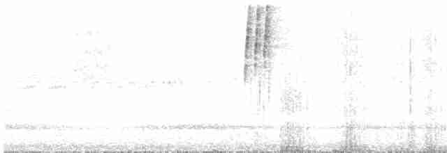 Mor Kuyruklu Ormanperisi - ML494723241