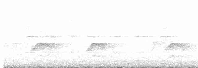 gulflekkhonningeter - ML49474801