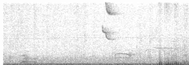 Чешуегорлый колибри-отшельник - ML494749041
