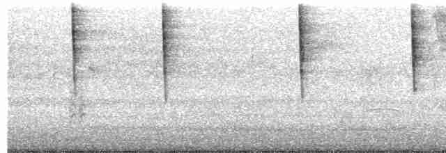 Синеголовая эуфония - ML494752191