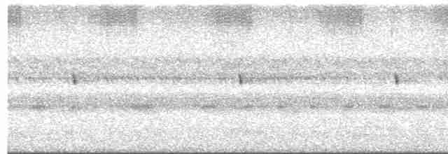 Scissor-tailed Nightjar - ML494777381
