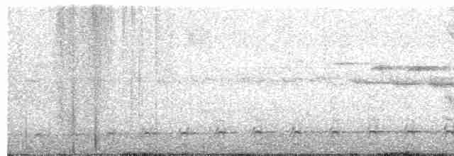 Gray-headed Kite - ML494789091