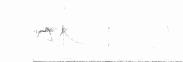 Тиранчик-короткодзьоб південний - ML494795891