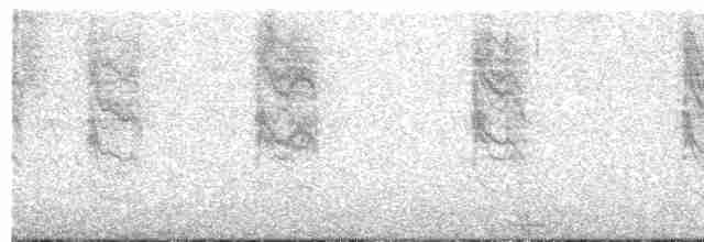 Sedef Karınlı Tohumcul - ML494796061