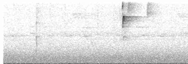 Gray-headed Tanager - ML494797221