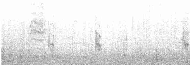 Mor Kumkuşu - ML494804301
