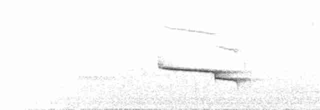 Ockerstirn-Ameisenpitta - ML49481571