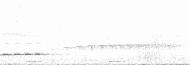 Turuncu Karınlı Yerçavuşu - ML49482661