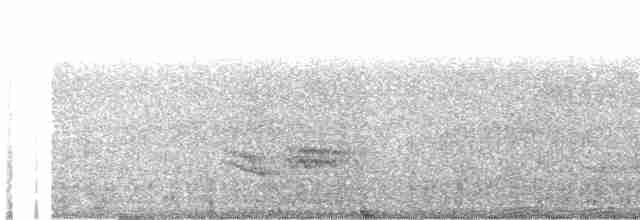 Лінивка плямистогруда - ML494871481
