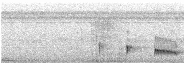 Gri Başlı Todi Sinekkapanı - ML494890411