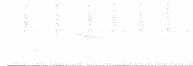 Серогрудый саблекрыл (obscurus) - ML494905211