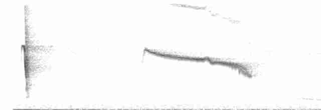 Benek Kanatlı Karıncaavcısı - ML494906941