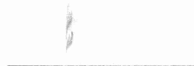 Тиран-карлик амазонійський - ML494908181