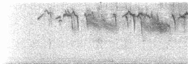 Yanardağ Kolibrisi (torridus) - ML49492431