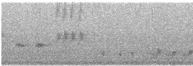 Mirlo Acuático Norteamericano - ML494993901