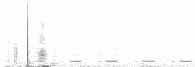 Серогрудый зобатый бегунок - ML495026551