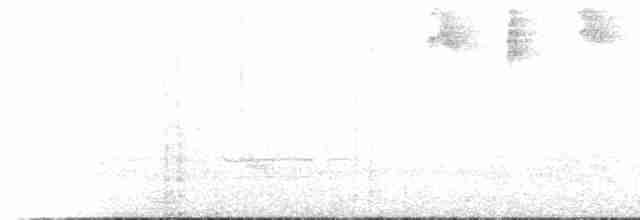 Blassschnabel-Ameisenpitta - ML495109101