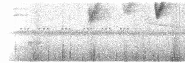 Ak Kanatlı Çalı Serçesi (paynteri) - ML495114651