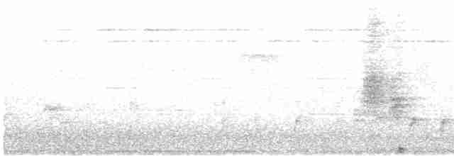 Çatal Kuyruklu Drongo (divaricatus/lugubris) - ML495131061