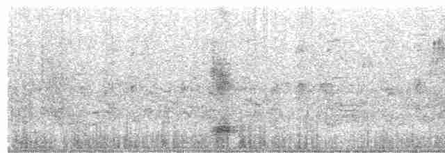 Black-crowned Night Heron - ML495169421