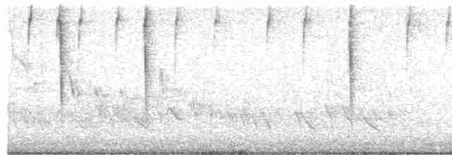 Kırlangıç Kuyruklu Kolibri - ML495233261