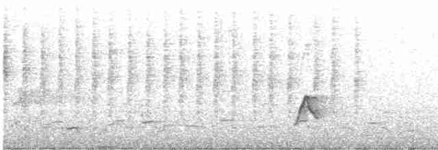 Guarayos Çıtkuşu - ML495235811