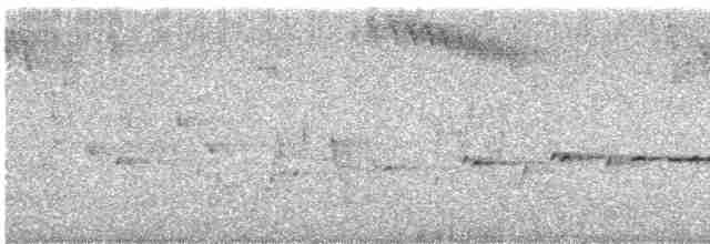 Белогорлая геригона - ML495249361