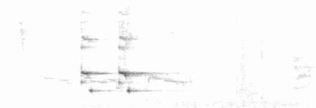 Синеусая сойка - ML495302131